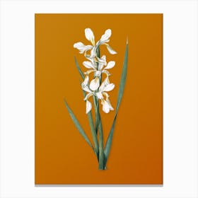 Vintage Yellow Banded Iris Botanical on Sunset Orange n.0905 Canvas Print