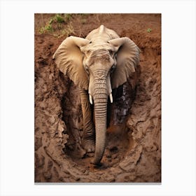 African Elephant Muddy Foot Prints Realism 3 Canvas Print