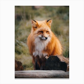 Fox In Forest 1 Canvas Print