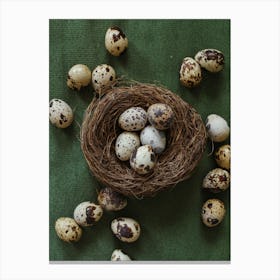 Quail Eggs In A Nest Canvas Print