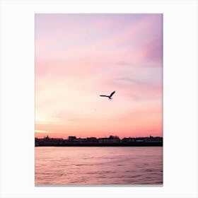 Seagull Flying Over The Water Canvas Print