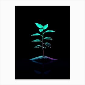 Neon Plant 22 Canvas Print