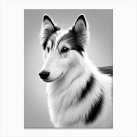 Shetland Sheepdog B&W Pencil dog Canvas Print