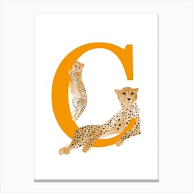 C For Cheetah Canvas Print