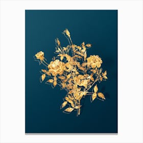 Vintage Dwarf Rosebush Botanical in Gold on Teal Blue Canvas Print