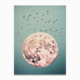 Full Moon With Birds 1 Canvas Print