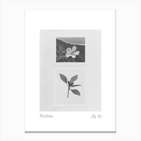 Fuchsia Botanical Collage 1 Canvas Print