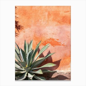 Agave 2 Canvas Print