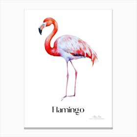 Flamingo. Long, thin legs. Pink or bright red color. Black feathers on the tips of its wings.8 Canvas Print