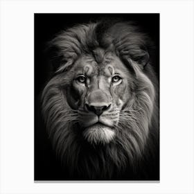 Black And White Photograph Of A Lion Canvas Print