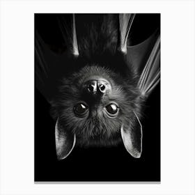 Portrait Of A Bat Canvas Print