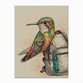 Hummingbird With Backpack Canvas Print