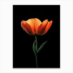 Orange Tulip 2 Canvas Print