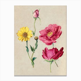 Vintage Floral Print Canvas Print