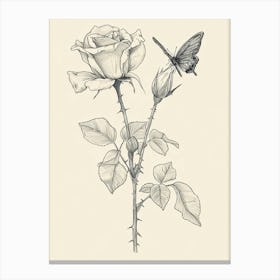 English Rose Butterfly Line Drawing 4 Canvas Print