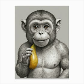 Monkey Eating Banana Canvas Print