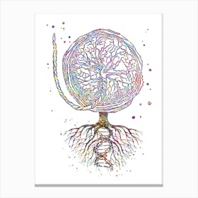 Placenta With The Roots Of DNA Watercolor Tree OF Life Canvas Print