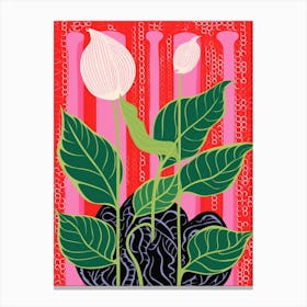 Pink And Red Plant Illustration Peace Lily 2 Canvas Print