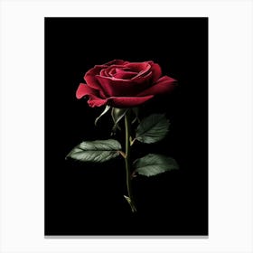 Red Rose On Black Background 64 Canvas Print