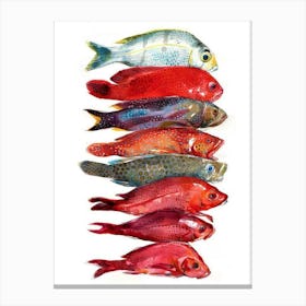 Fishes 3 Canvas Print