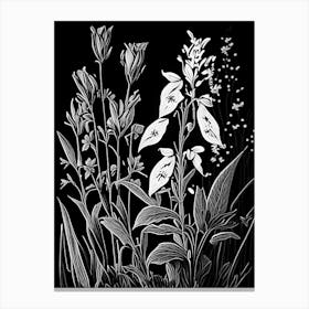 Fringed Loosestrife Wildflower Linocut Canvas Print
