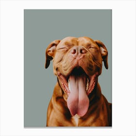 Happy Dog Canvas Print