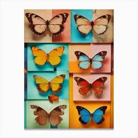 Butterflies On A Wall Canvas Print