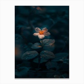 Dark Flower 41 Canvas Print