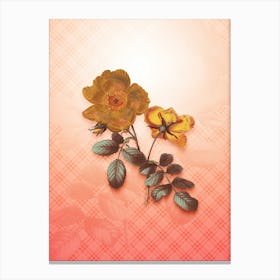 Sweetbriar Rose Vintage Botanical in Peach Fuzz Tartan Plaid Pattern n.0335 Canvas Print
