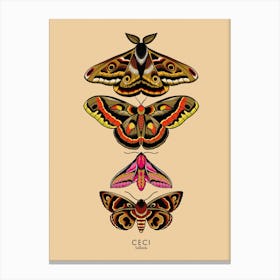 Moths Canvas Print