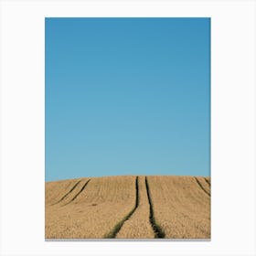 Field Of Barley Canvas Print