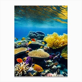 Coral Reef Underwater Canvas Print