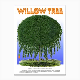 Willow Tree Graphic Wall Art Vintage Unique Eclectic Canvas Print