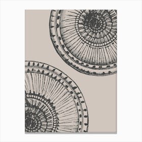 Two Circular Plates Canvas Print