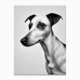 Rat Terrier B&W Pencil dog Canvas Print