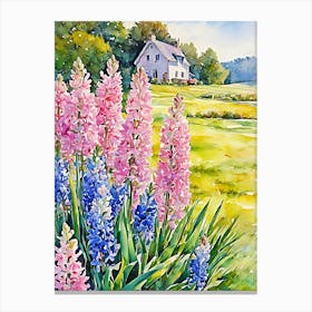 Hyacinths Canvas Print