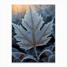 Frosty Maple Leaf Canvas Print