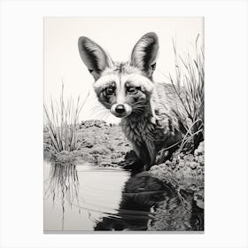 Bat Eared Fox Realism Drawing 1 Canvas Print
