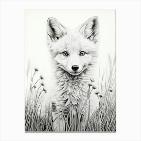 Arctic Fox In A Field Pencil Drawing 3 Canvas Print
