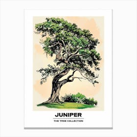 Juniper Tree Storybook Illustration 4 Poster Canvas Print