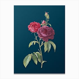 Vintage Purple Roses Botanical Art on Teal Blue n.0887 Canvas Print