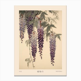 Fuji Wisteria 1 Vintage Japanese Botanical Poster Canvas Print