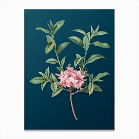 Vintage Azalea Botanical Art on Teal Blue n.0200 Canvas Print