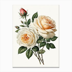 Vintage Galleria Style Rose Art Painting 27 Canvas Print