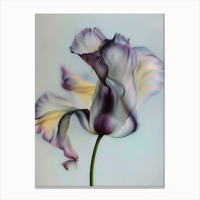 Abstract modern Tulip flower Canvas Print