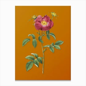 Vintage Stapelia Rose Bloom Botanical on Sunset Orange n.0761 Canvas Print