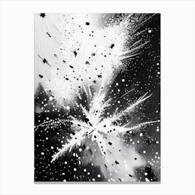 Falling, Snowflakes, Black & White 2 Canvas Print