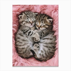 Cute Kittens Canvas Print