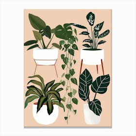 Houseplants 1 Canvas Print