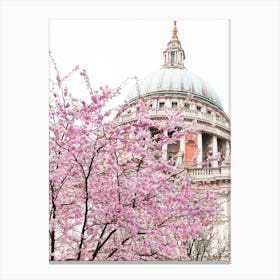 St Paul'S Spring Blossom Canvas Print